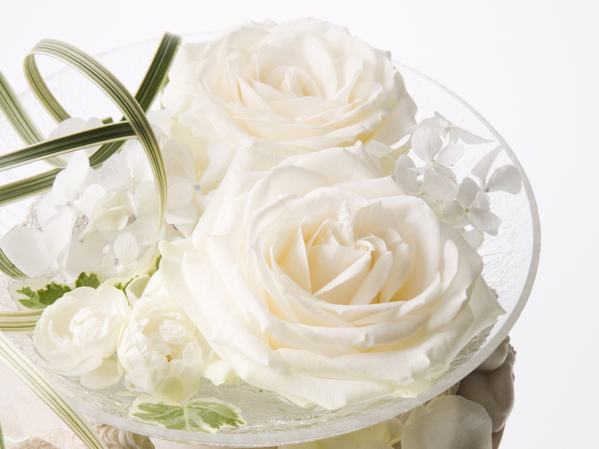 Воскресно белый. Открытки с белыми розами. Красивые белые розы. Открытки с днем рождения белые розы. Открытки с белыми цветами.