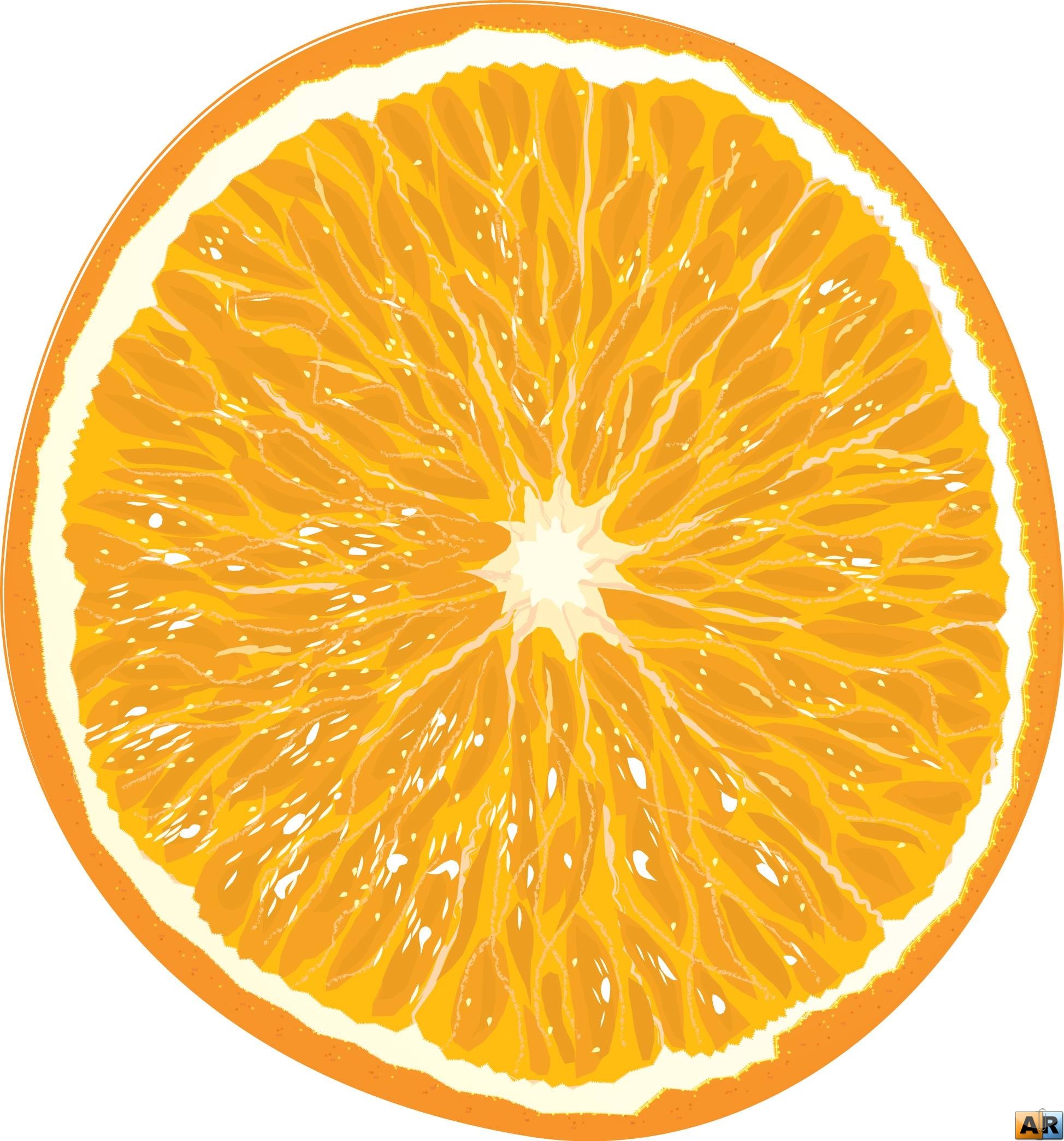 Кк апельсина. Срез апельсина. Апельсин в разрезе. Апельсин на прозрачном фоне. Долька апельсина.