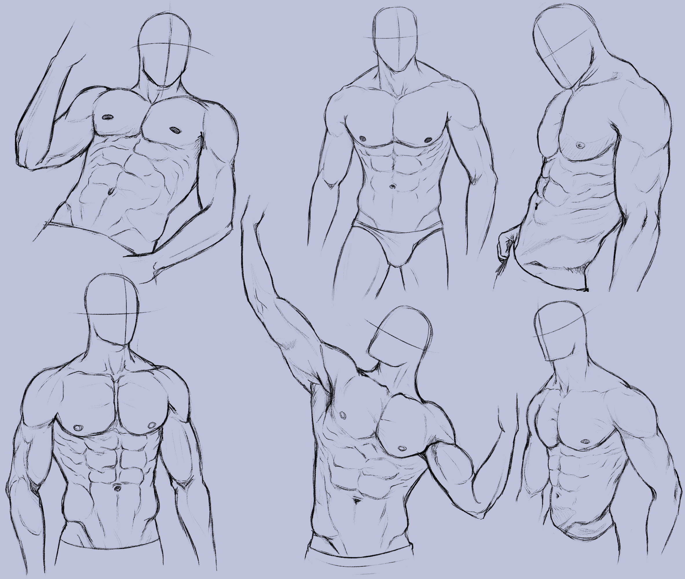 Покажи рисунки тела человека. Референс торса парня сбоку. Торс анатомия референс. Туториал торс сбоку.