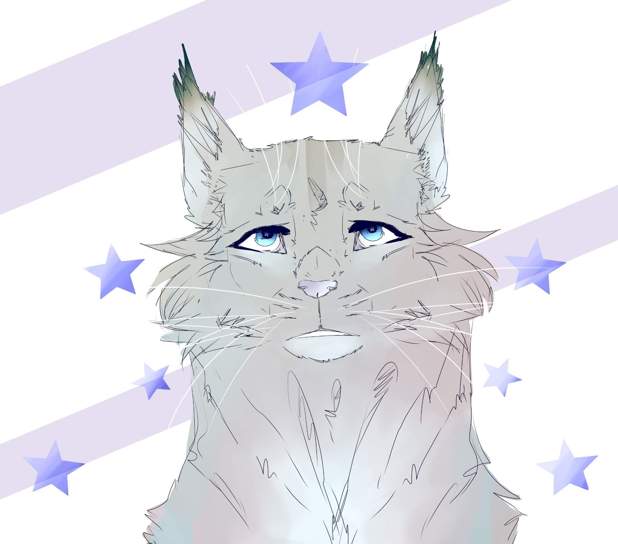 Синяя звезда из котов воителей
