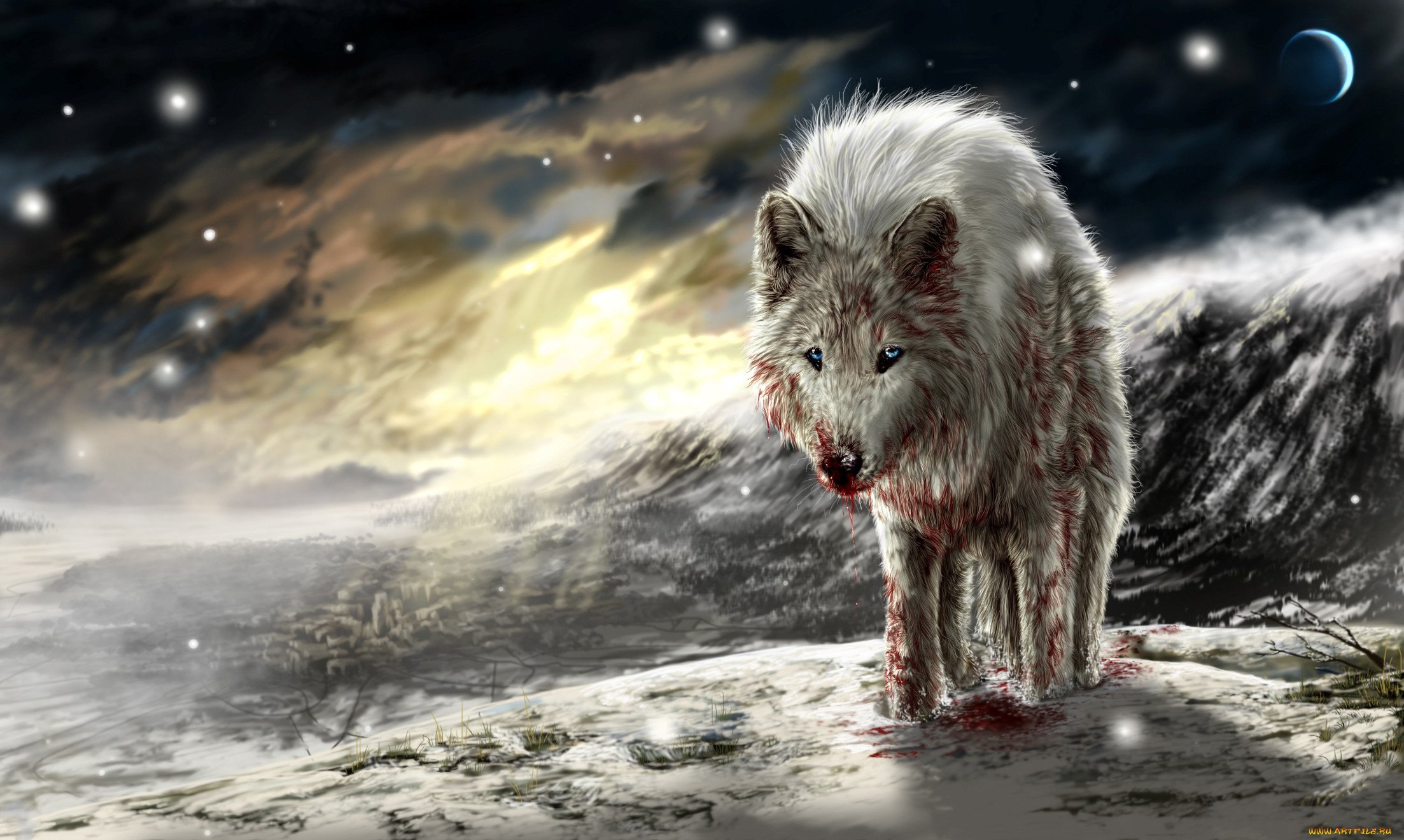 волчица с раненой душой картинки