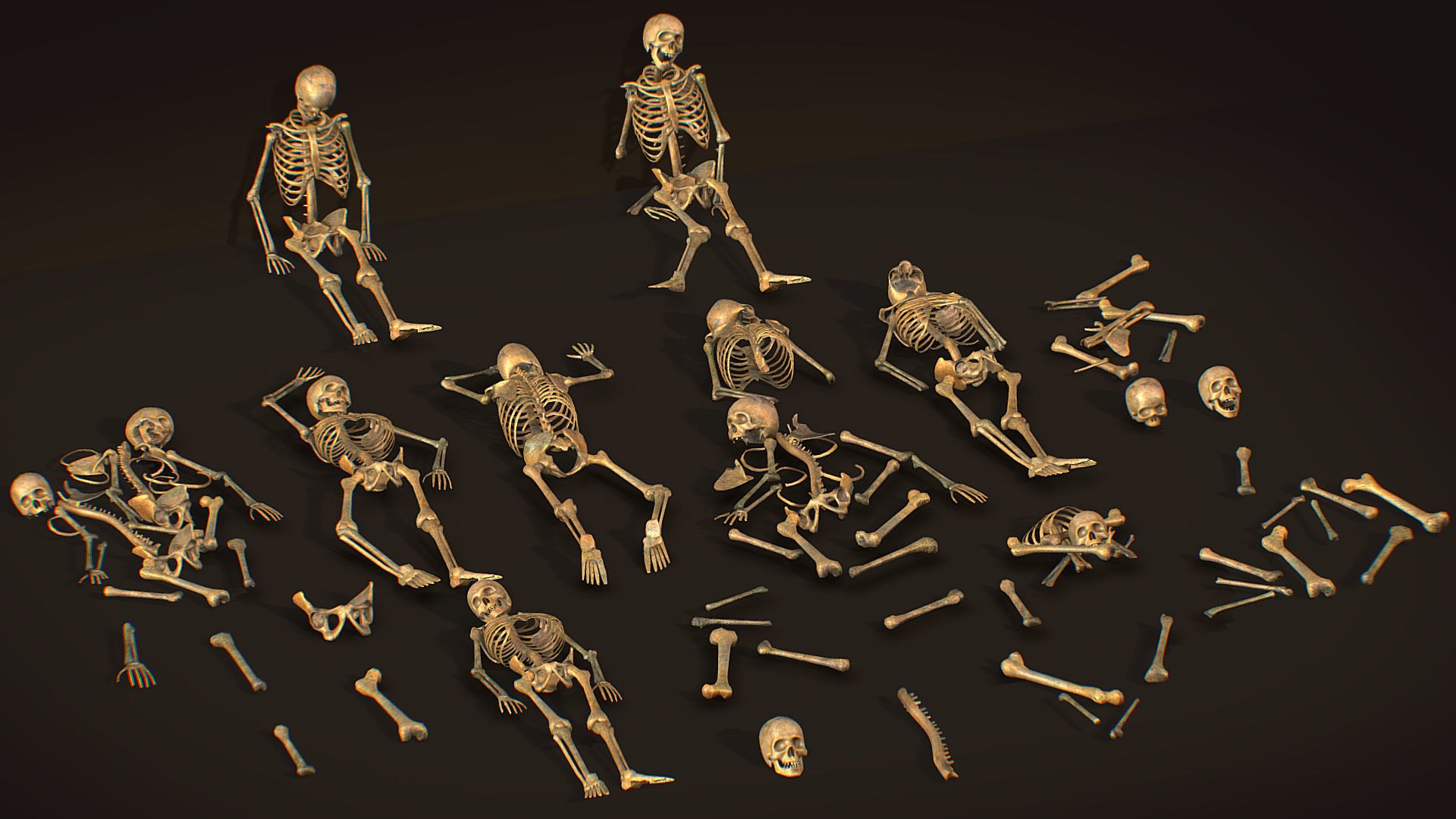 Три д скелет человека. Скелет 3д референс. Скелет лежит. 3 Скелета. Скелет человека в разных позах.