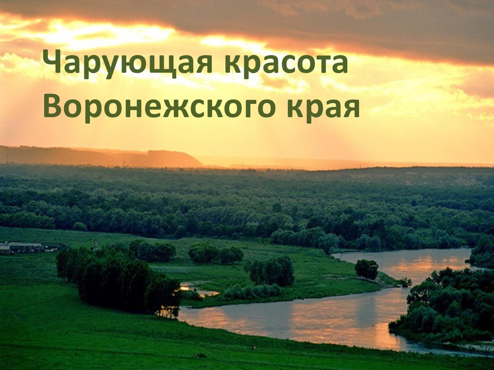 Разнообразие природы Воронежского края
