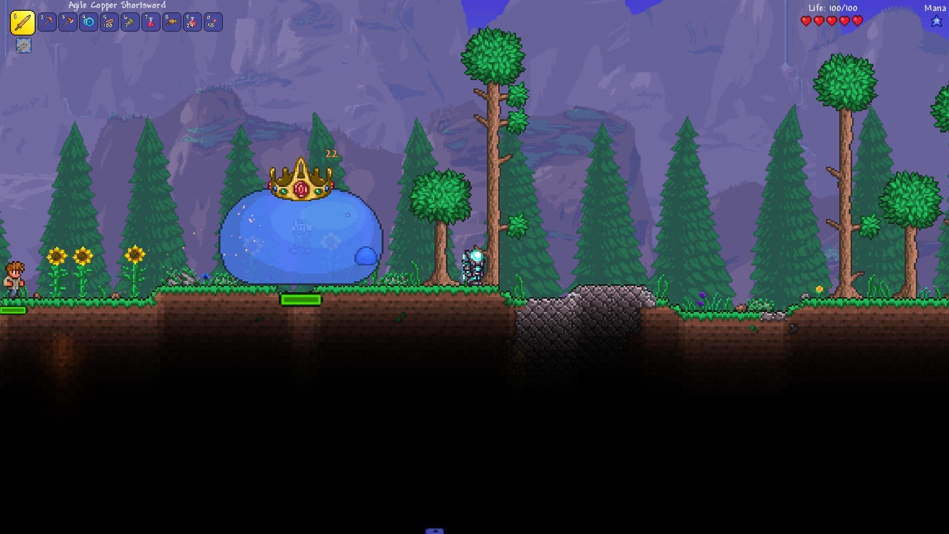 All bullets in terraria фото 91