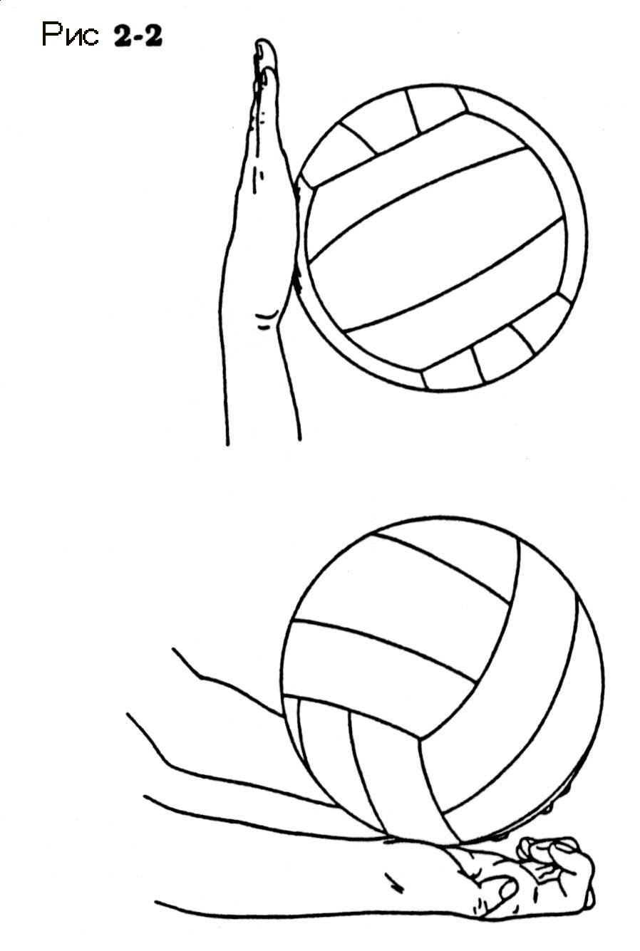 Волейбол упражнения с мячом. Мячик карандашом. Упражнения с волейбольным мячом. Волейбольный мяч карандашом. Эскиз по волейбола мяч.