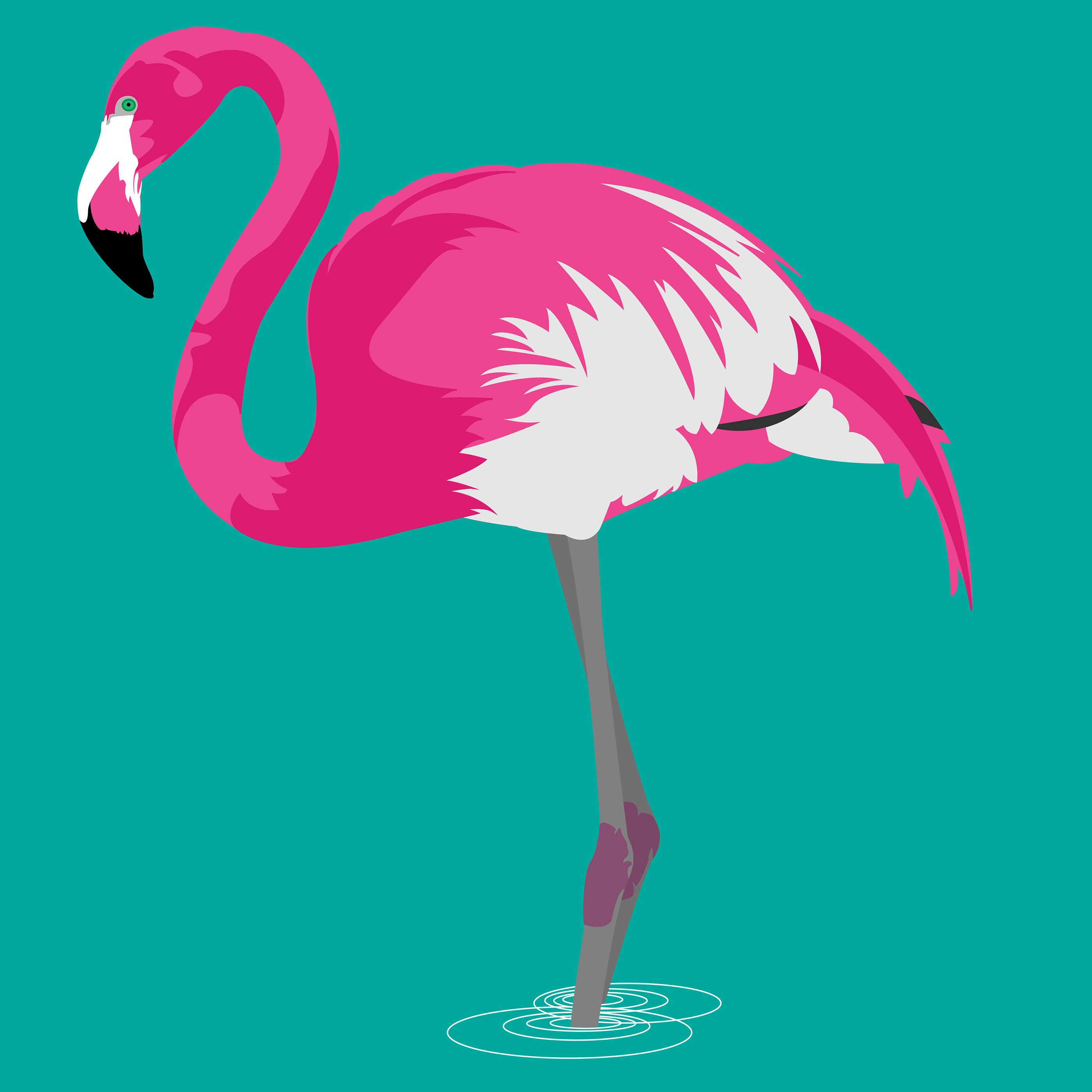 Фламинго легко. Фламинго рисунок. Фламинго карандашом. Нарисовать Фламинго. Розовый Фламинго рисунок для детей.
