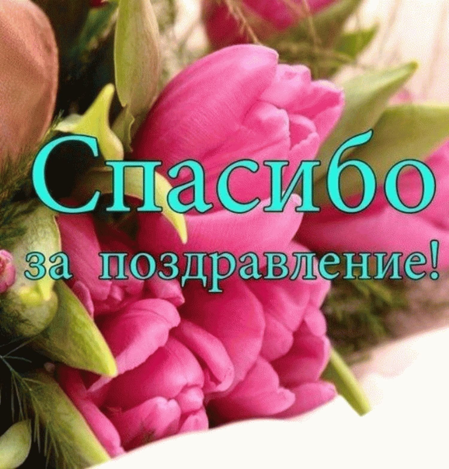 Ответы security58.ru: ОГРОМНОЕ СПАСИБО вам за поздравления! предложение составлено правильно ?