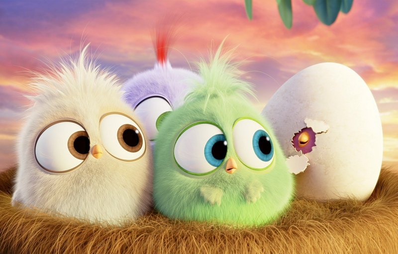 Angry Birds птенчики