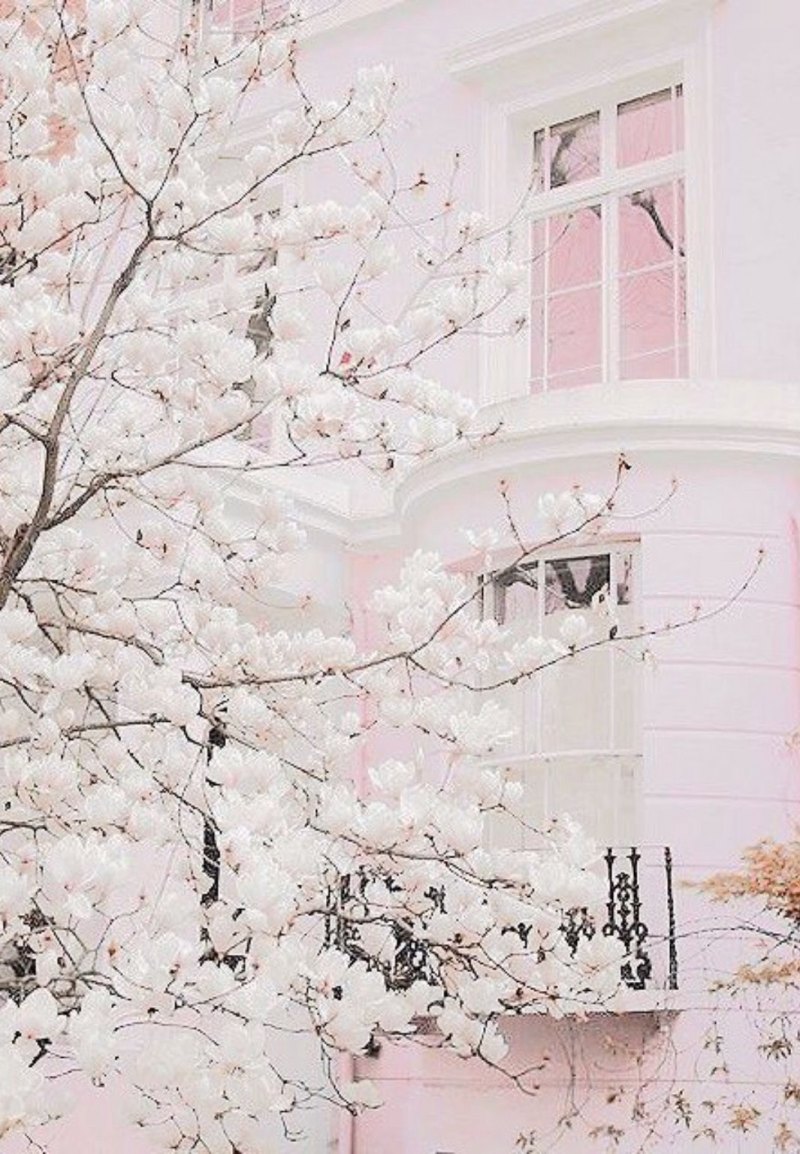 Эстетика розового и белого