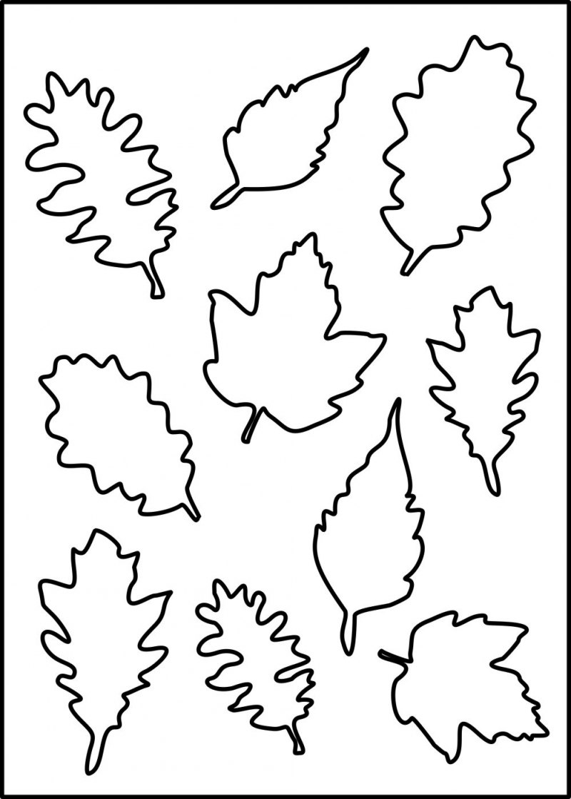 Осенние листья трафареты для вырезания