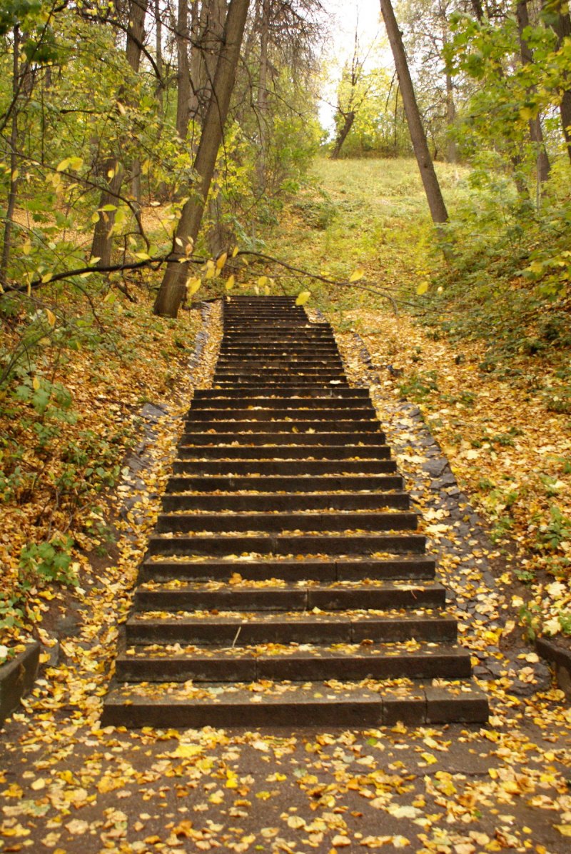 Фото на лестнице в парке