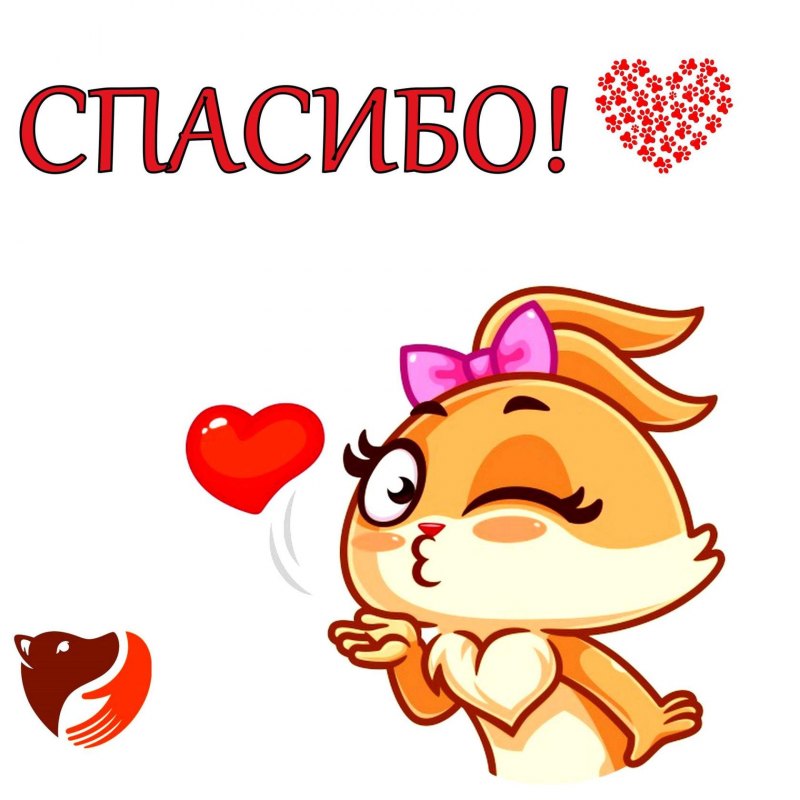Спасибо за поздравления