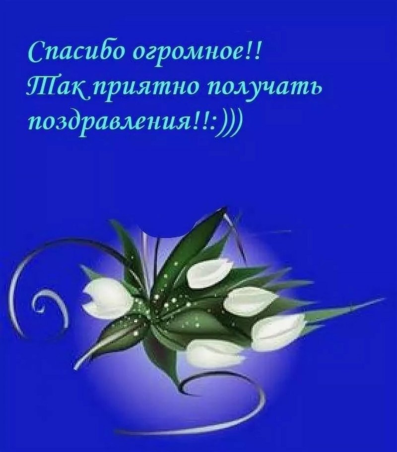 Спасибо за поздравления