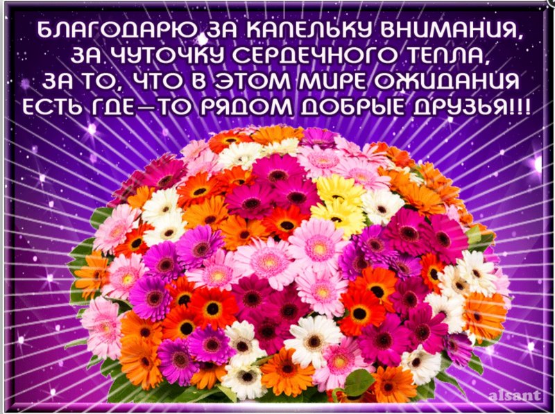 Открытка спасибо за поздравления