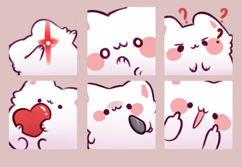 Милые котики для дескорда