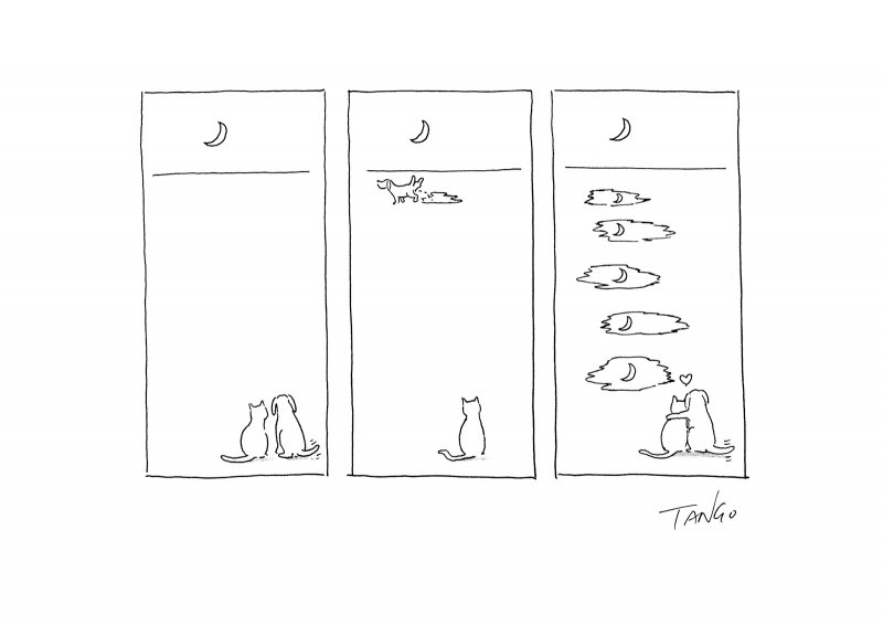 Художник танго Гао