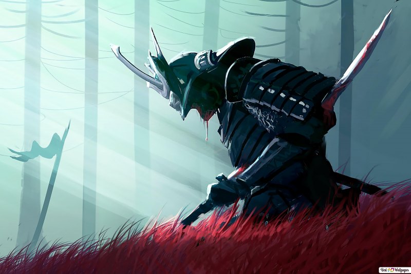 Самурай Ронин арт