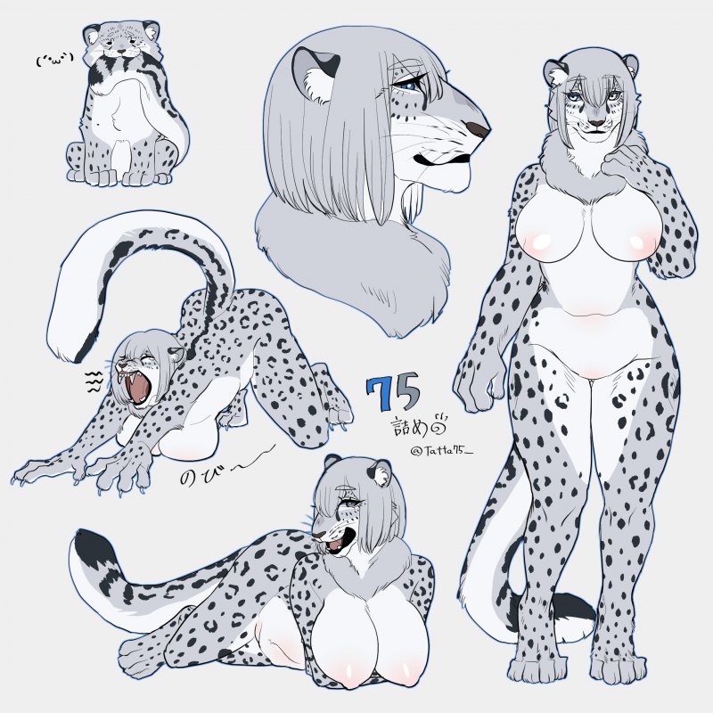 Фурри референс снежный Барс лайн