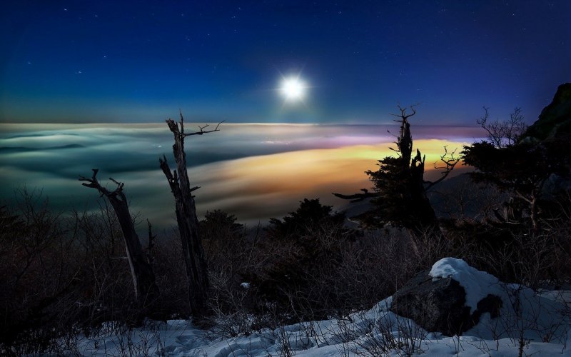Пейзаж Лунная ночь