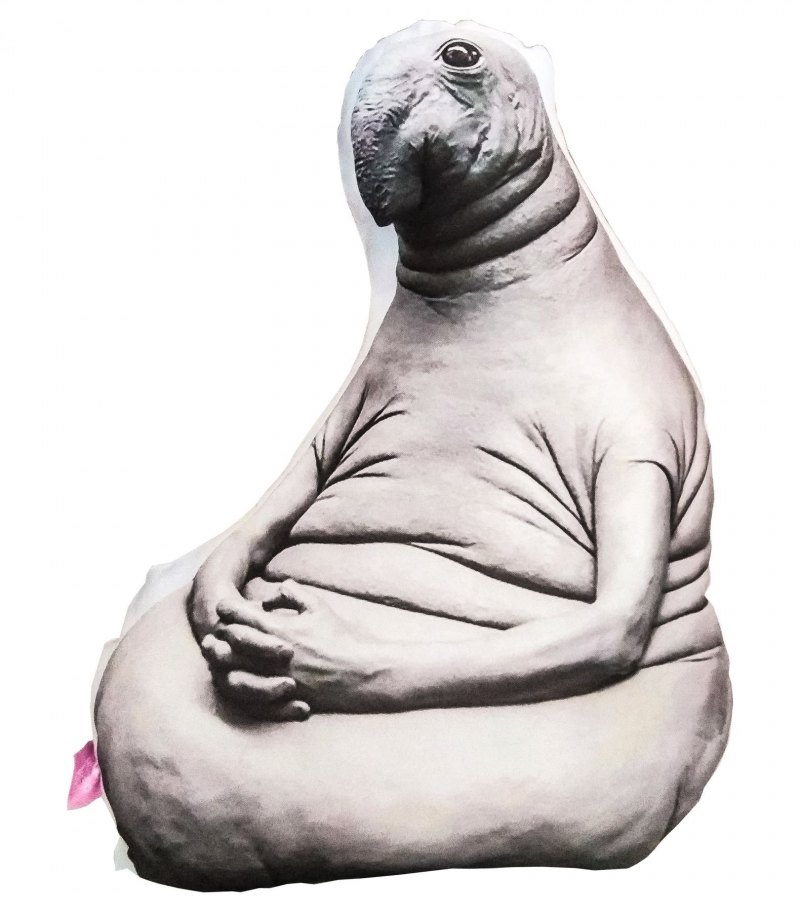 Глад ВАЛАКАС ФОТОЛУПЫ