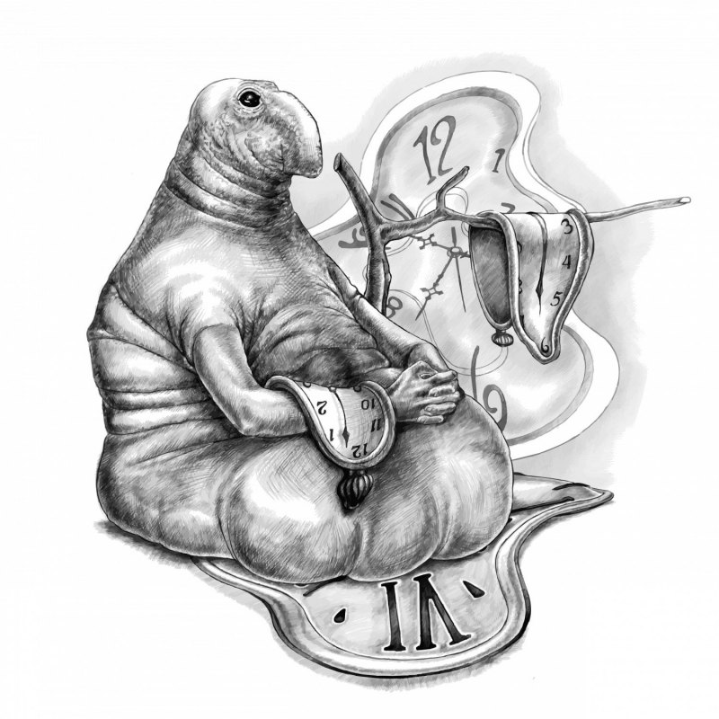 Ждун оригинал