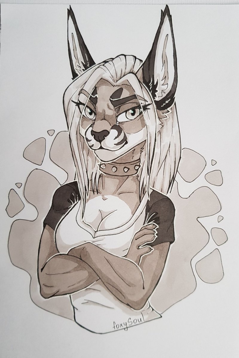 Дикие фурри