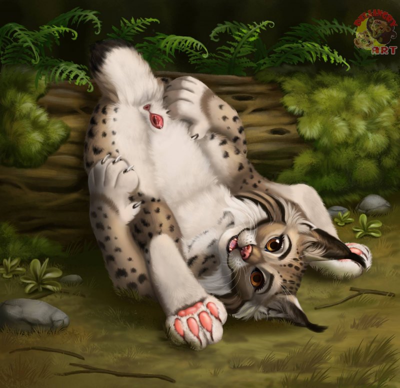 Люди животные фэнтези