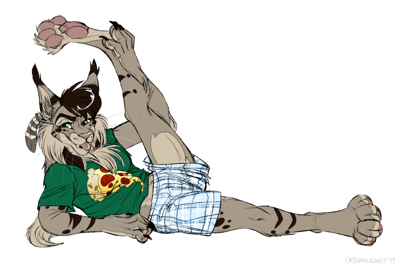 Фурии гепарды