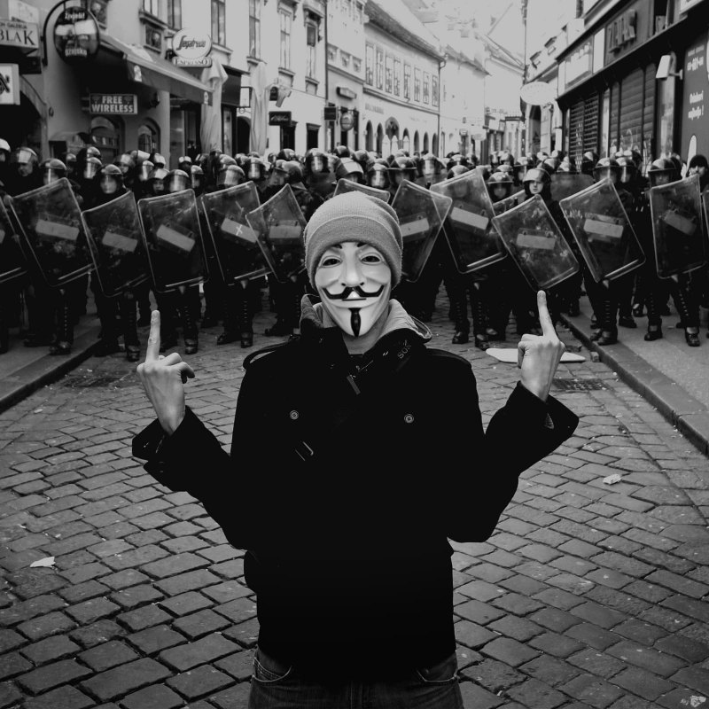 USA обои с розами