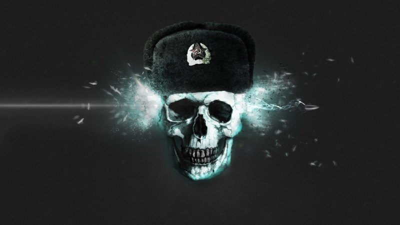 Череп в ушанке
