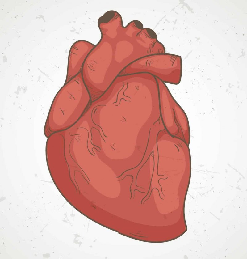 Сердце арт без фона