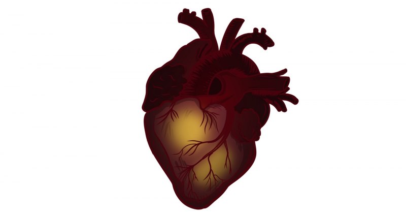 Сердце рисунок