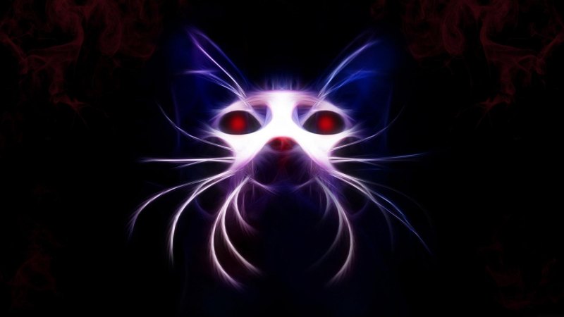 Кошка с неоновыми глазами