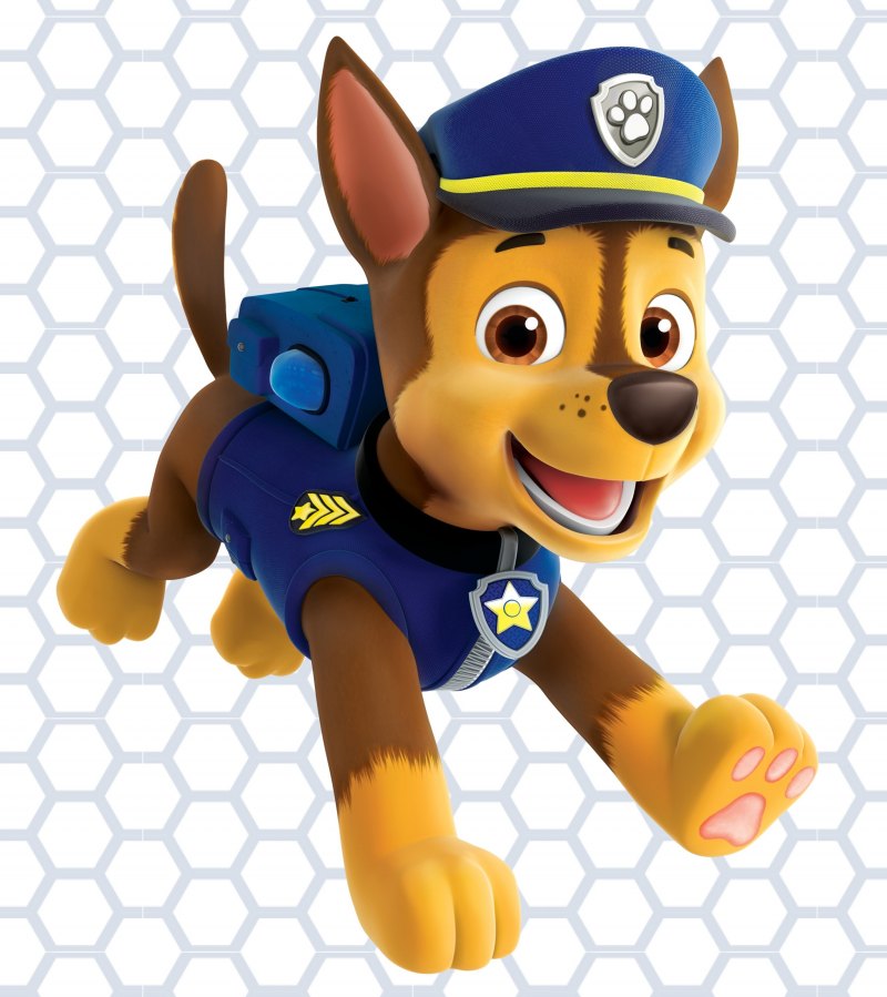Paw Patrol гонщик