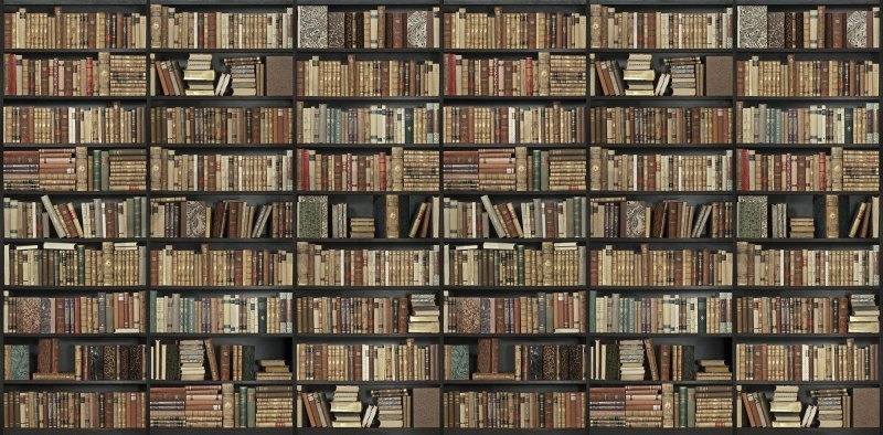 Стеллажи с книгами в библиотеке