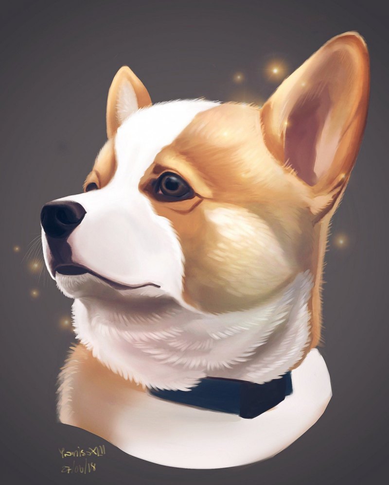 Плейрикс корги