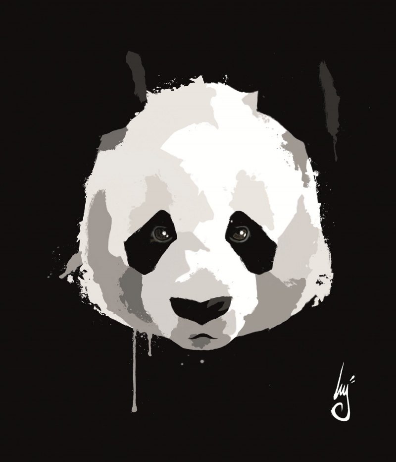 Portfolio about Panda