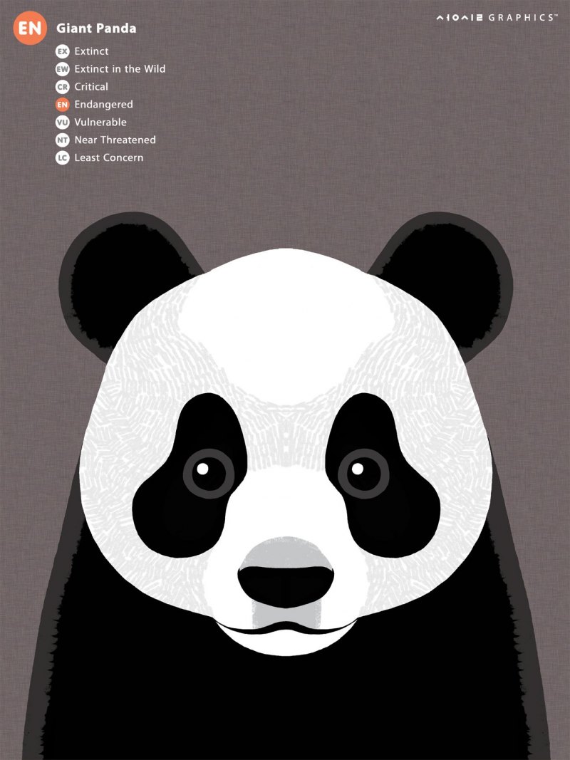 На сером фоне смайлик Панда