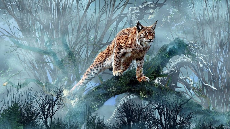 Саморядова Елена картины