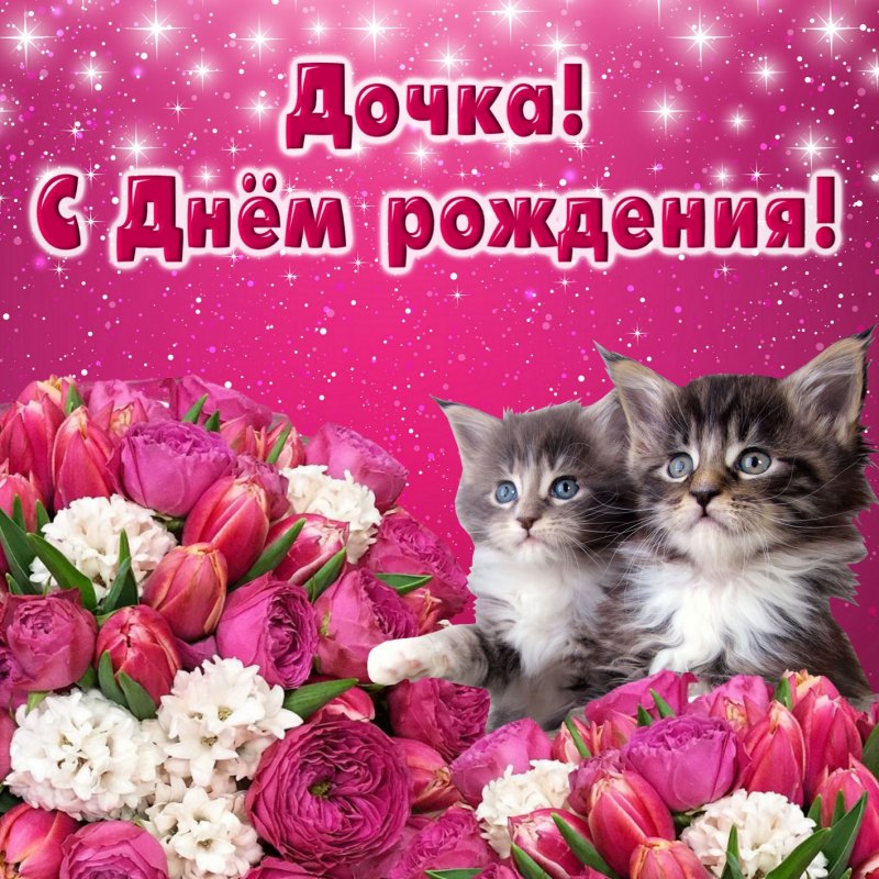 Стднем рождения дочери
