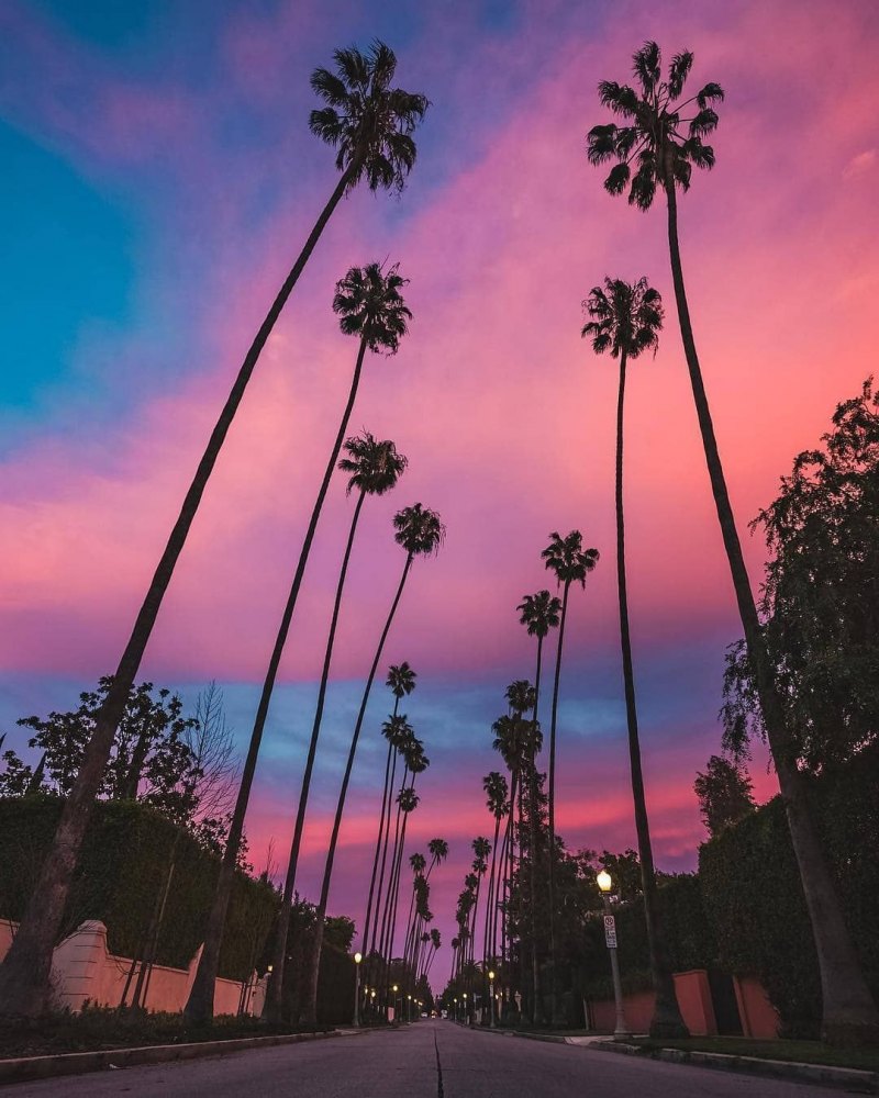 Летний закат Эстетика