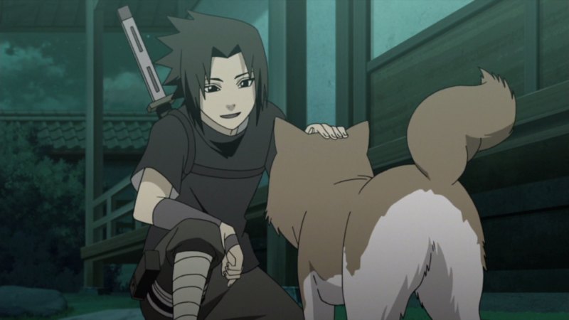 Широ из Наруто собака