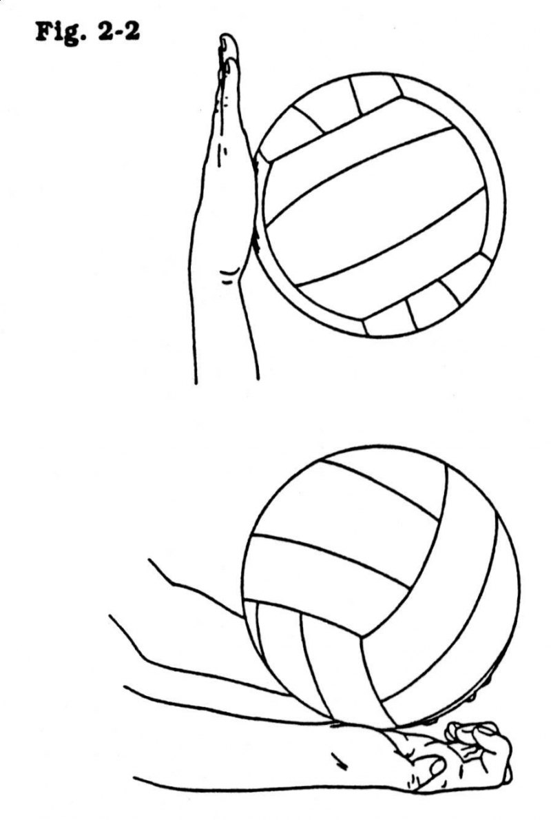 Mikasa Volleyball Ball