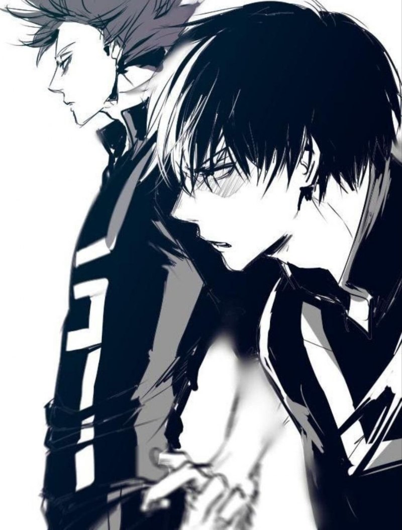 Хитоши Шинсо и Тодороки