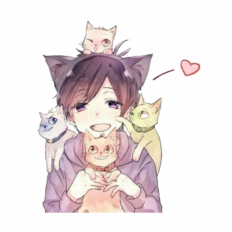 Кошачья любовь