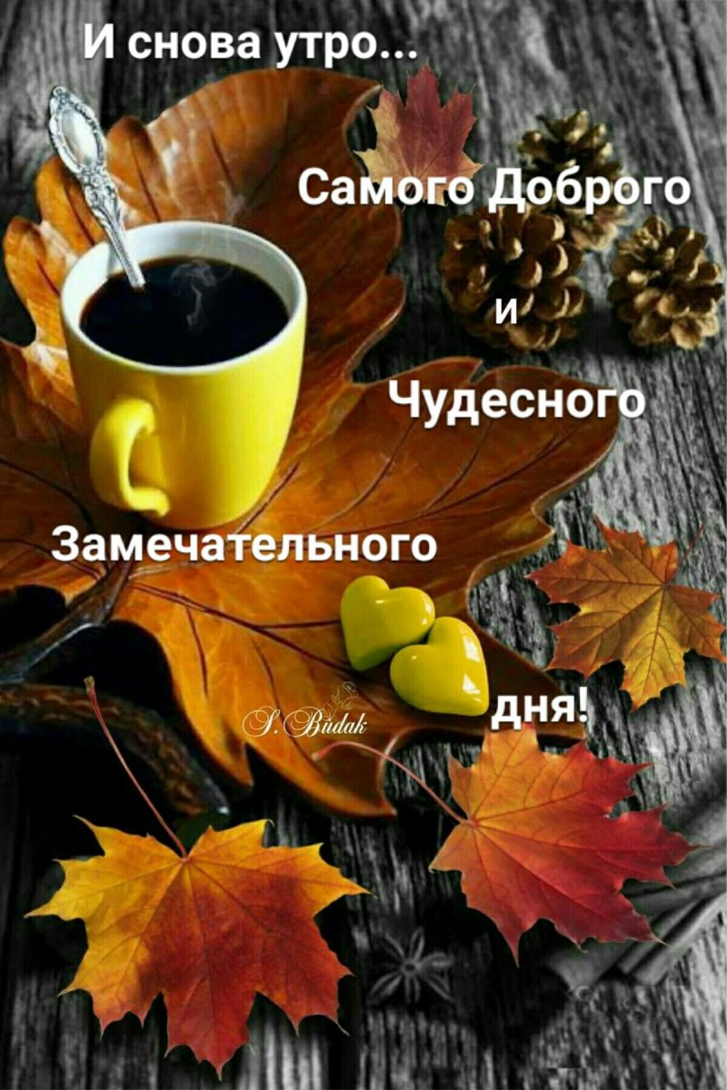 Доброе понедельничное утро осень