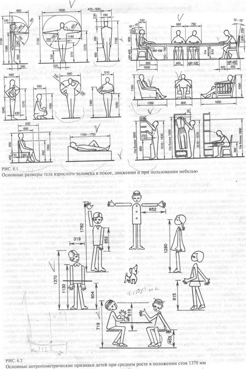 Эргономика детской комнаты антропометрические