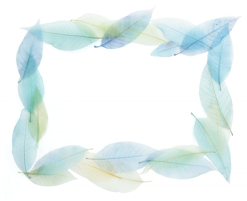 Акварельная рамочка