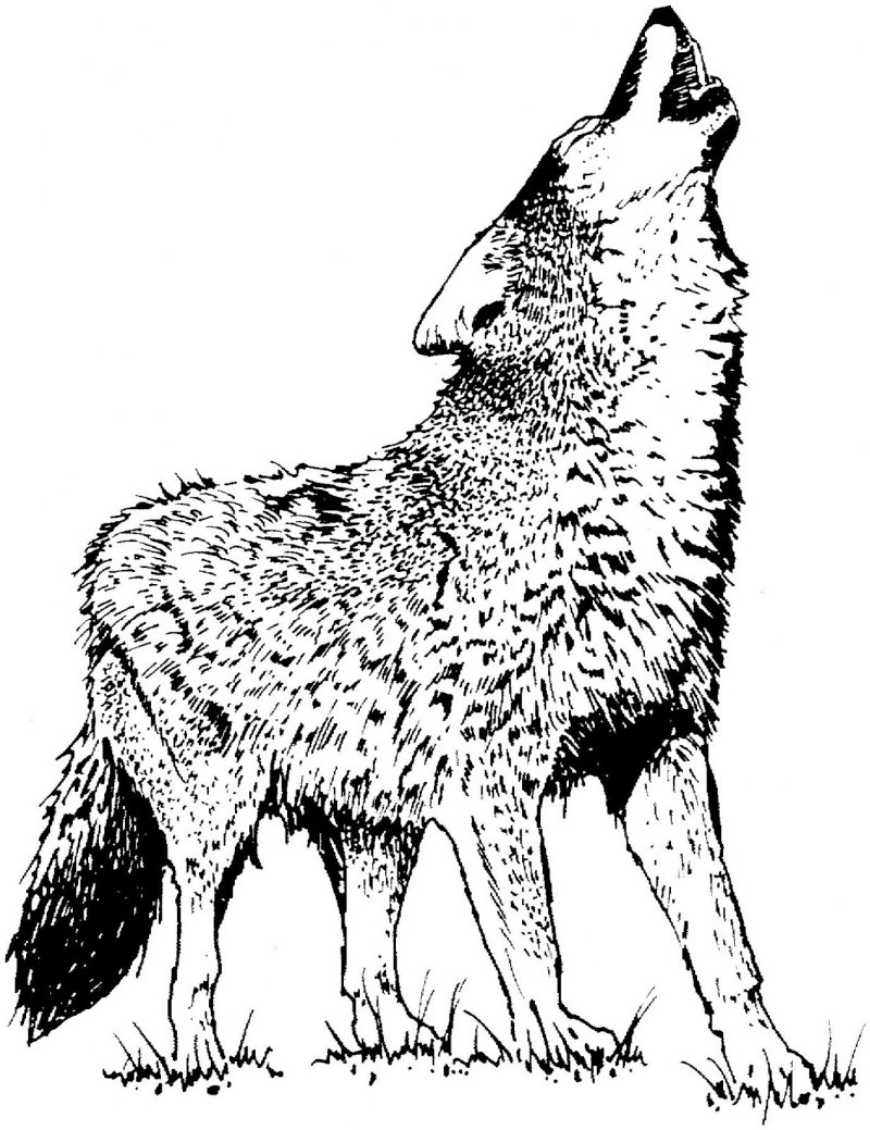 Рисунок волка на топоре эскизы