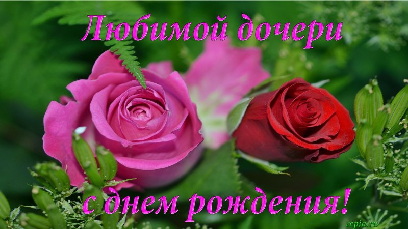 Открытки с днём рождения мамуля от дочери красивые